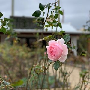 Meet your Posher, Kaitlynn